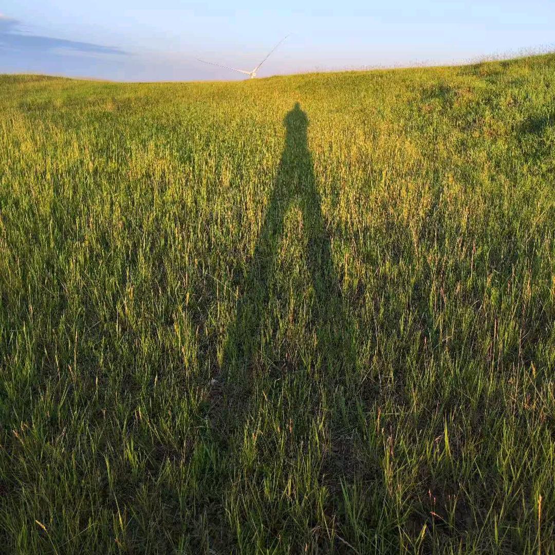 人生不过三锅菜