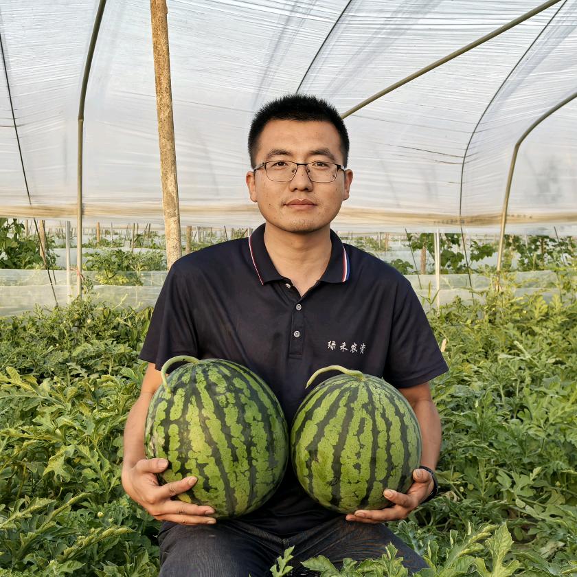 张老师教你种西瓜（张帆绿禾农资）