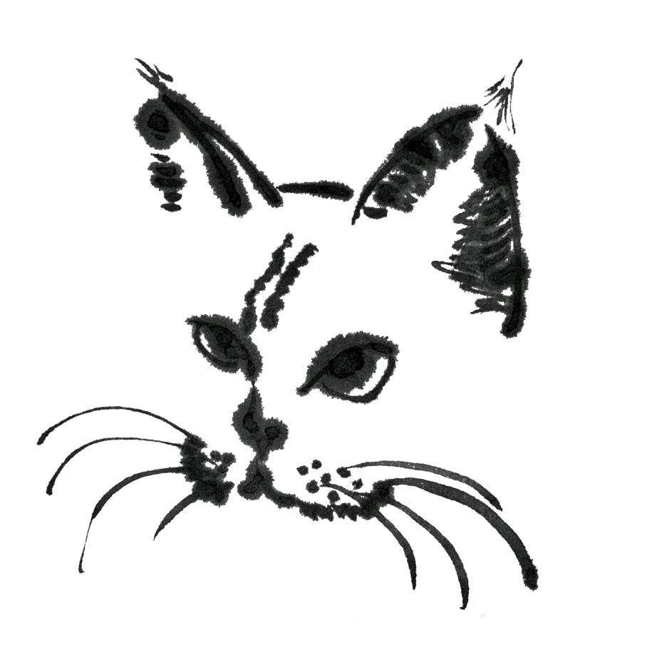 jianmo