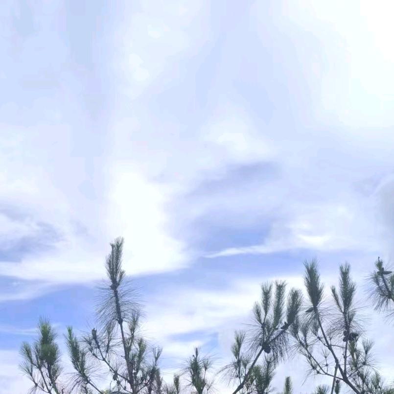 人间烟火₡