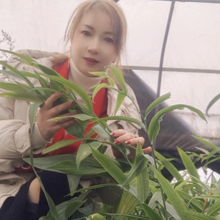 杨杨得亿