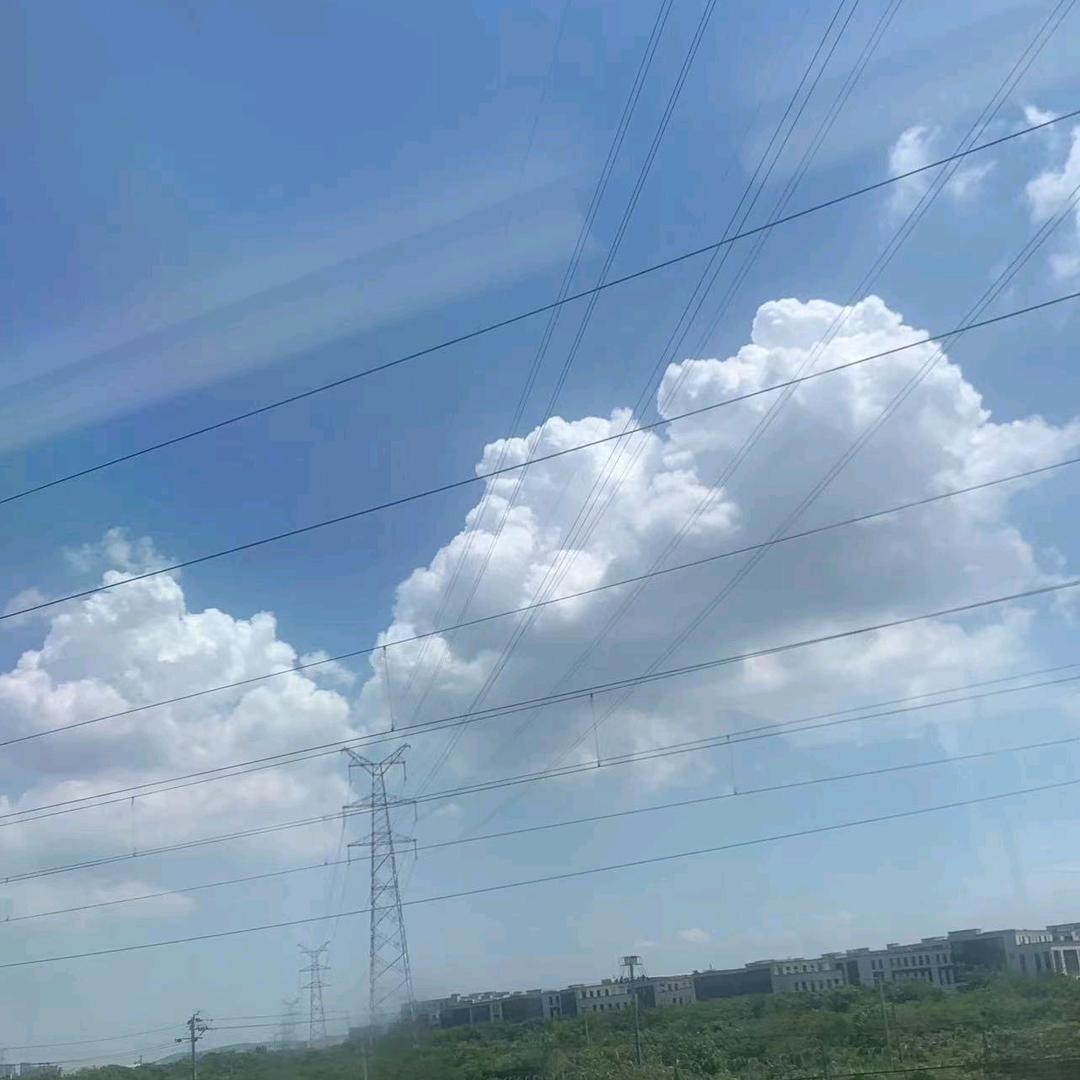 长琴贡合兰兰