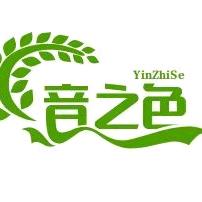 音之色