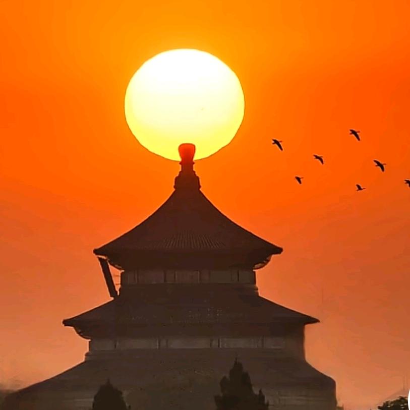 灵瑞☁️祥风💫