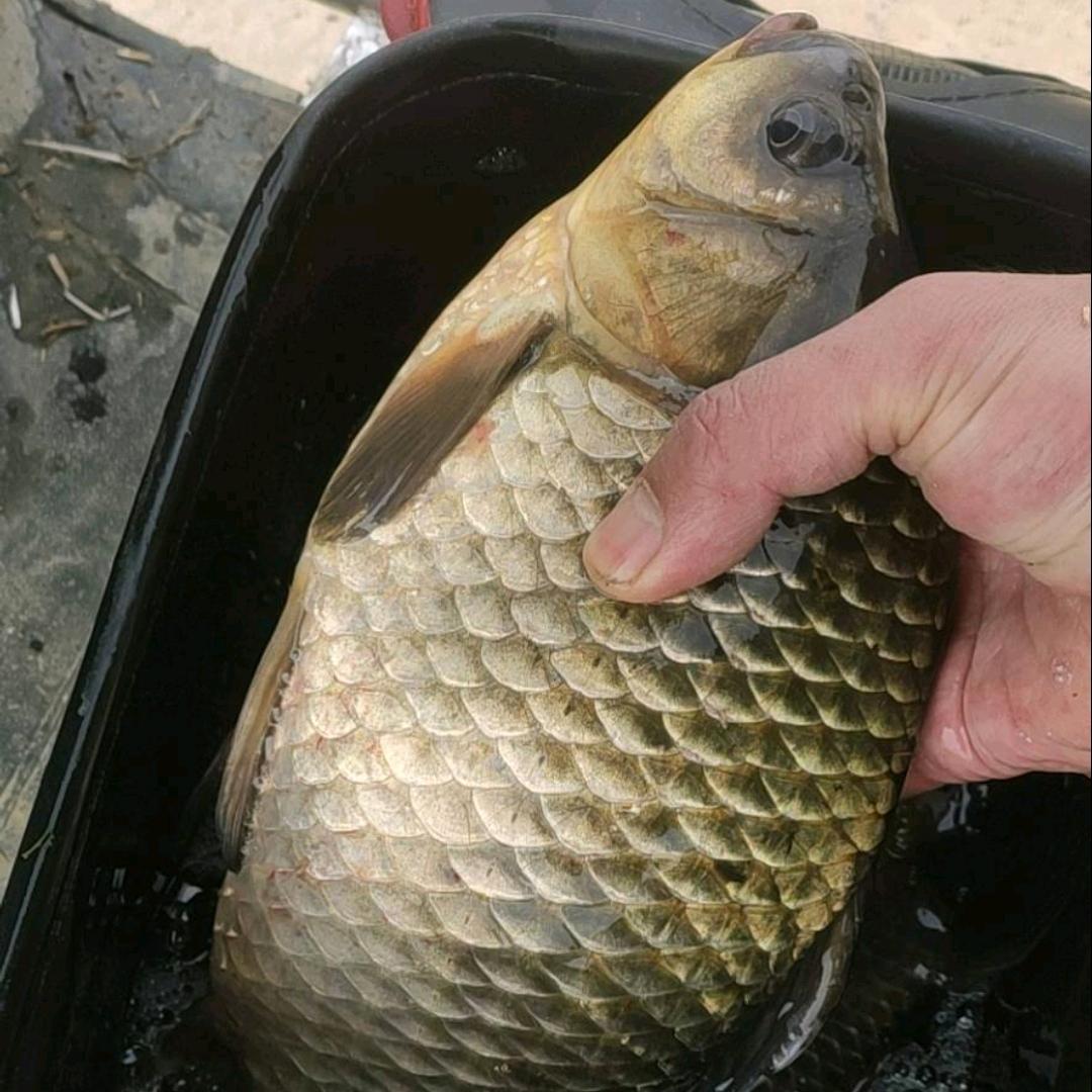 农村留守青年～小辉