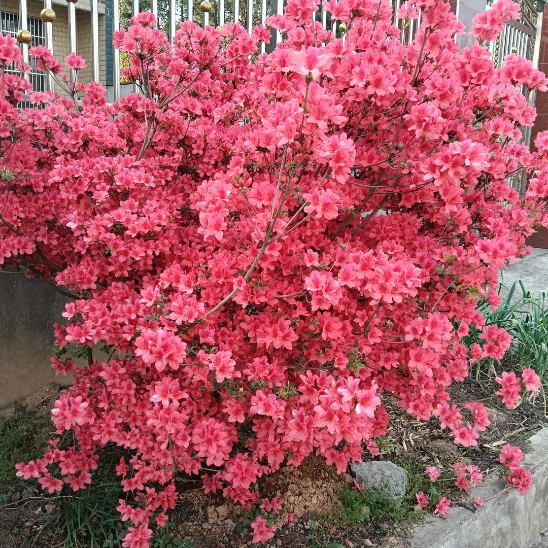 相逢即是缘zhb