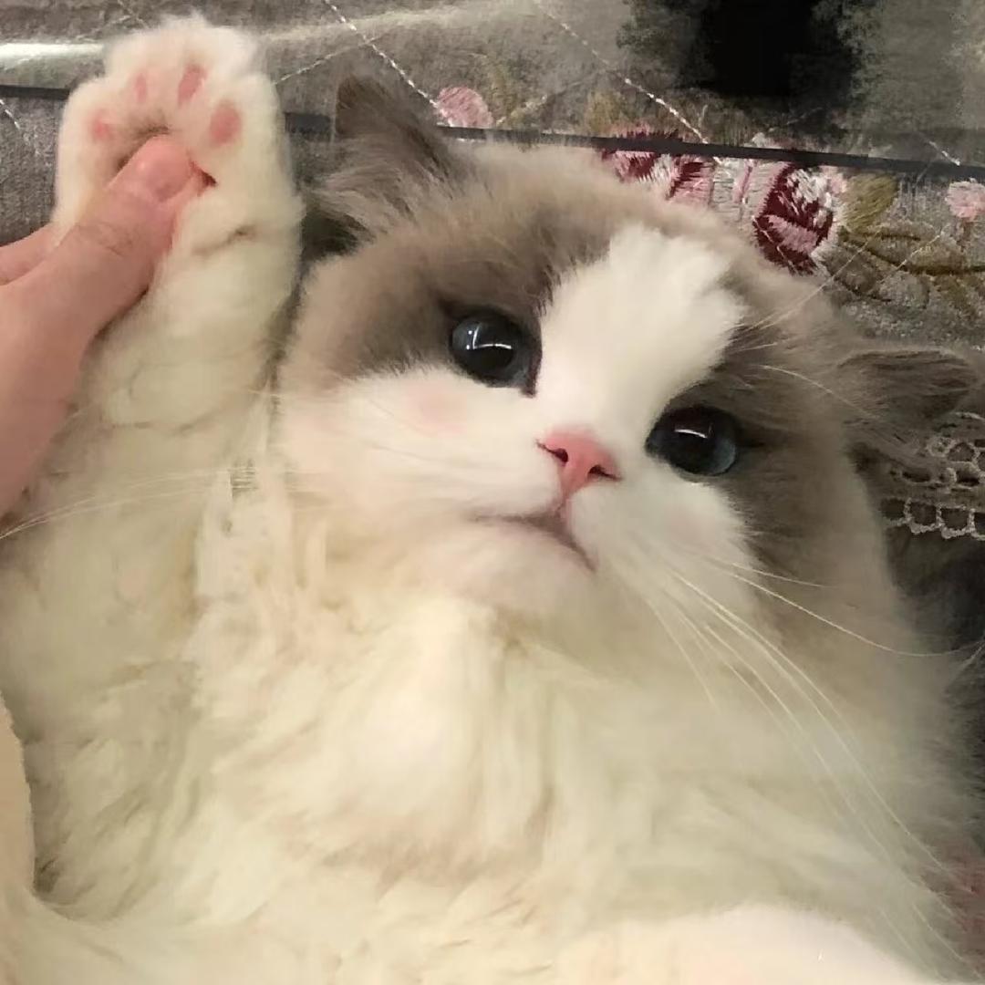 王富贵i
