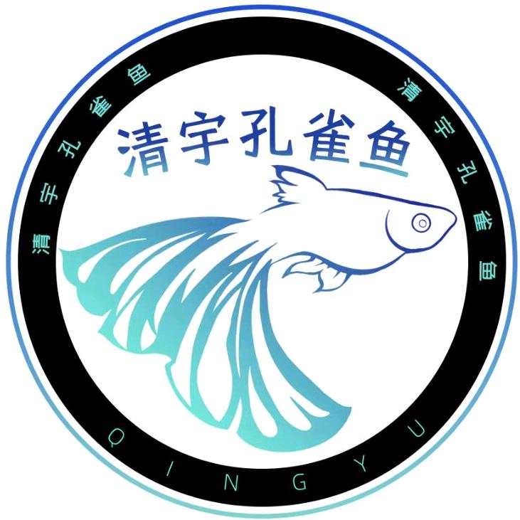 清宇精品孔雀鱼
