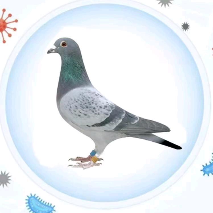 此号已停止使用