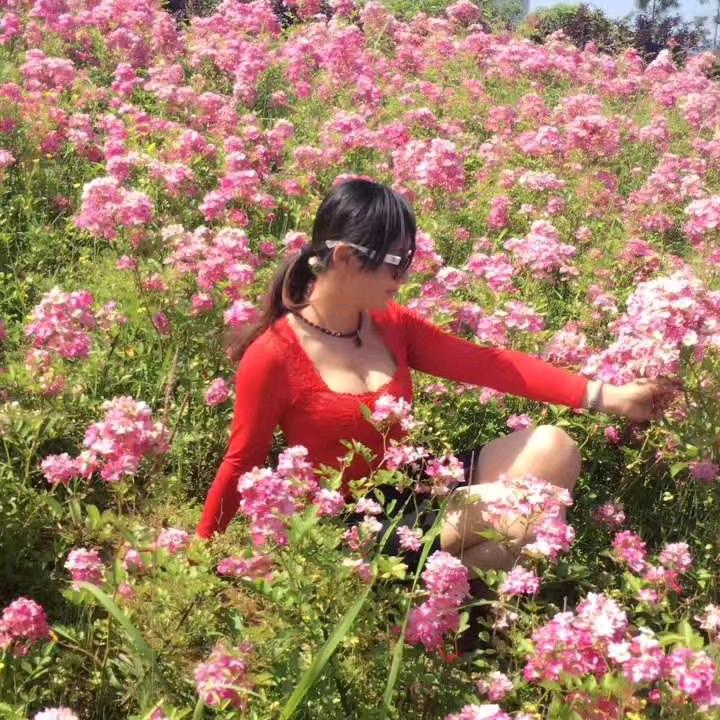 山上散养黄羽乌鸡{王红}