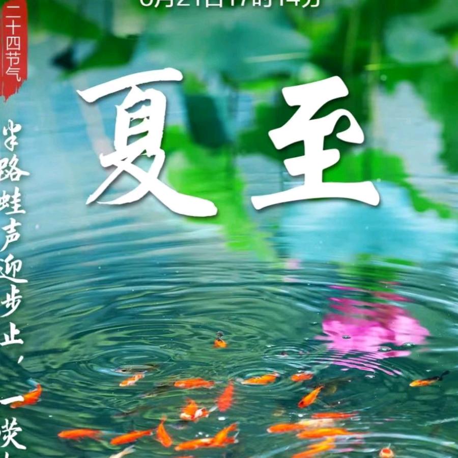 云鹤
