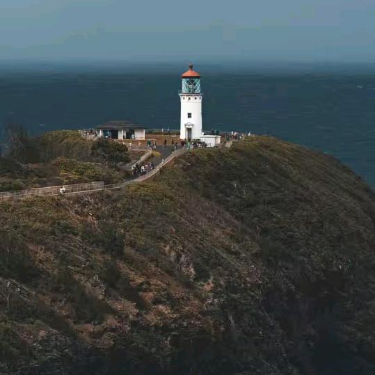 ♥️🍎9️⃣9️⃣🈴1️⃣🍎❤️