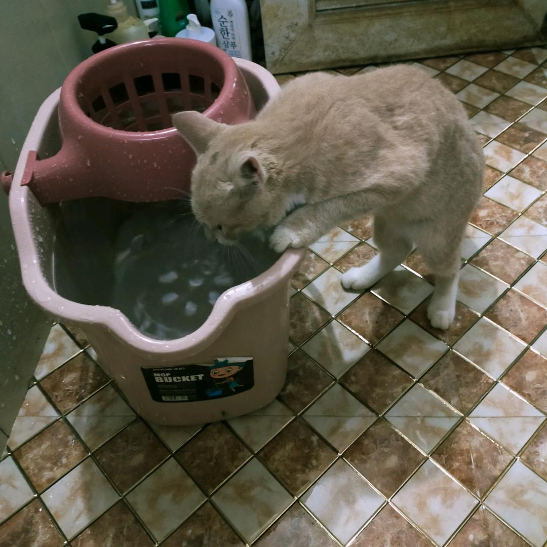 大窖人，，专业生产气泡膜