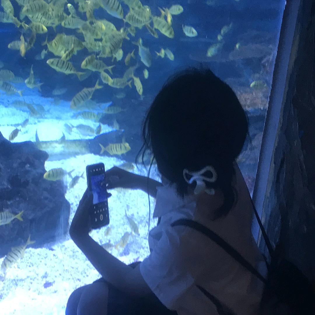 江起淮