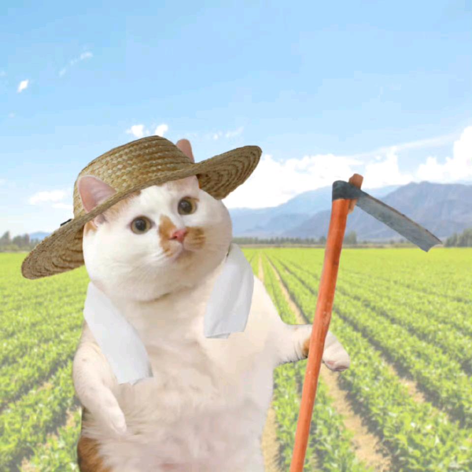 丰农发集体项目一部