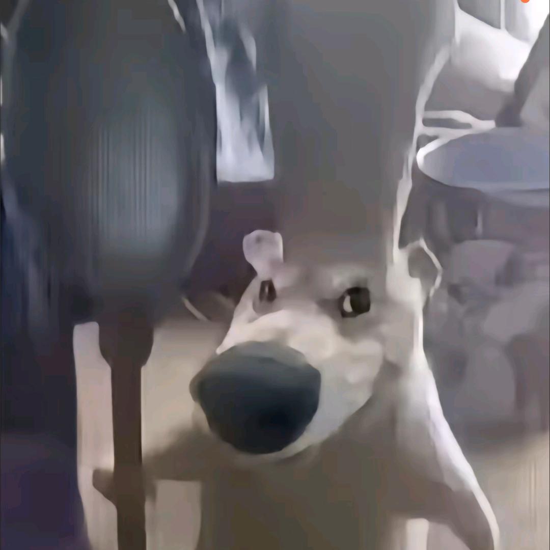 Despair