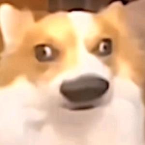 ZibbffhhW