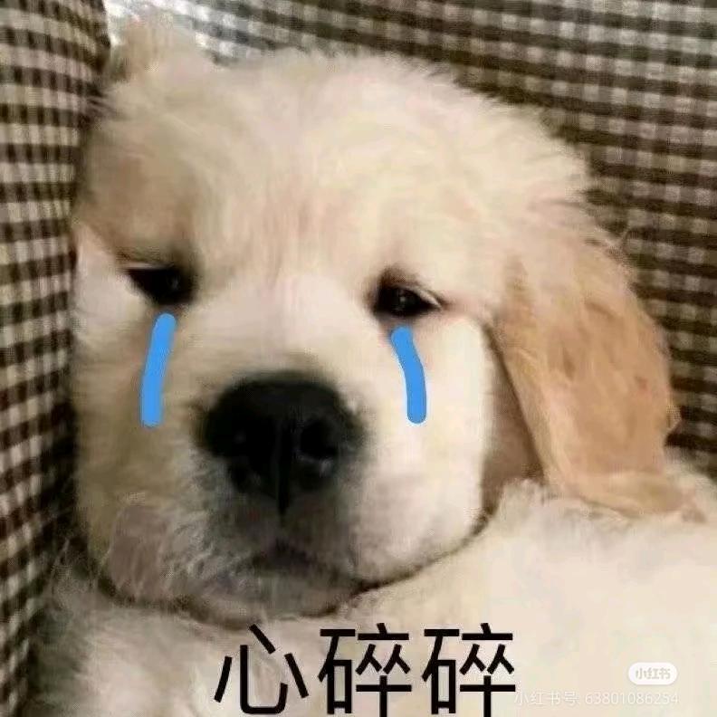 骑熊孩子闯红灯被撞讹了1万（已婚带一娃）
