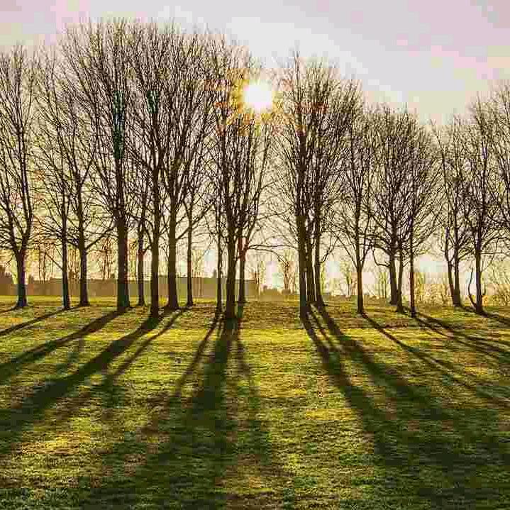 花开富贵（感恩所有）