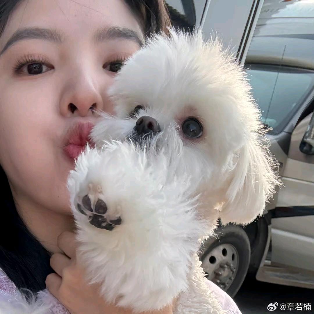 💗