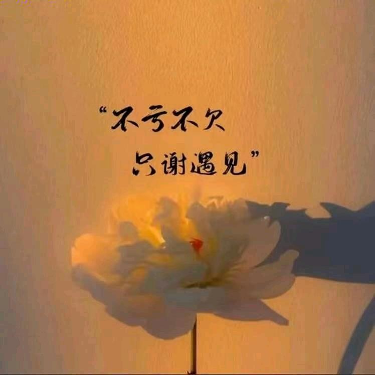 🥀⃟想你᭄撞满ꦻꦿ怀单身
