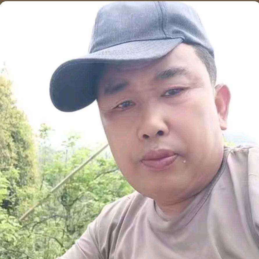 光秆司令
