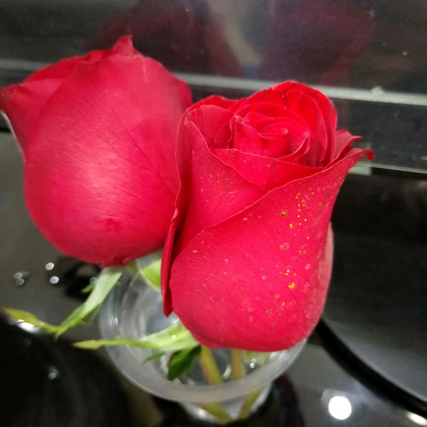 独自漫步的猫🐱