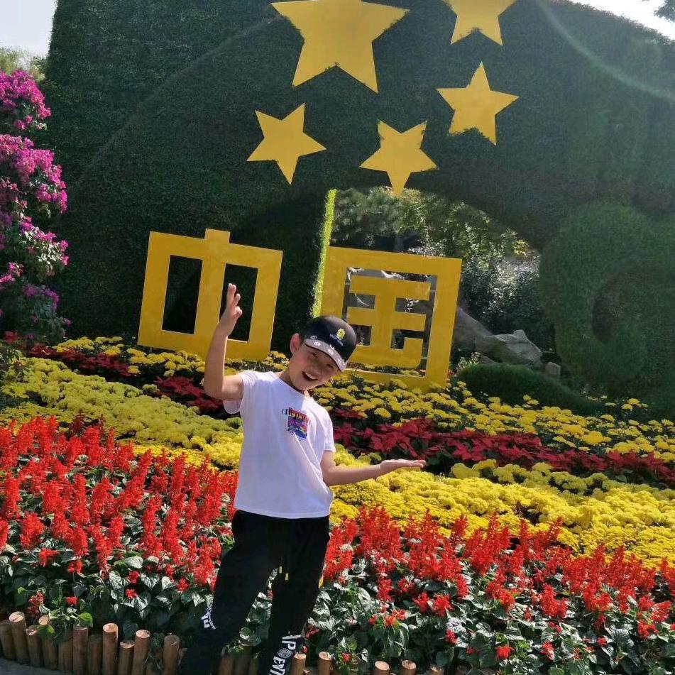 阳阳纸木包装公司