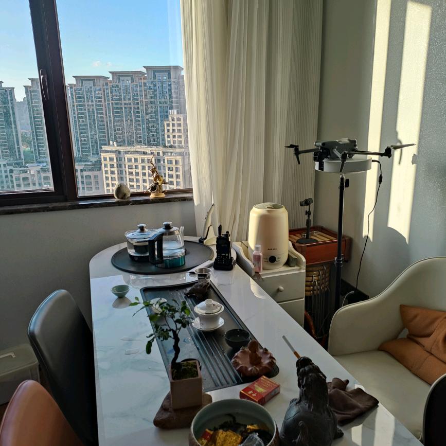 自由飞翔