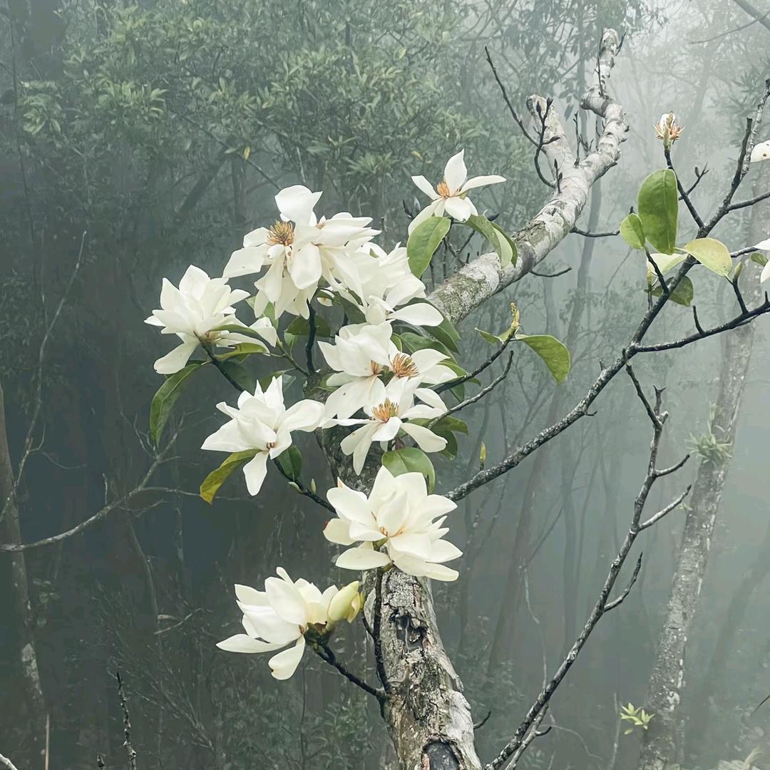 浙老百姓