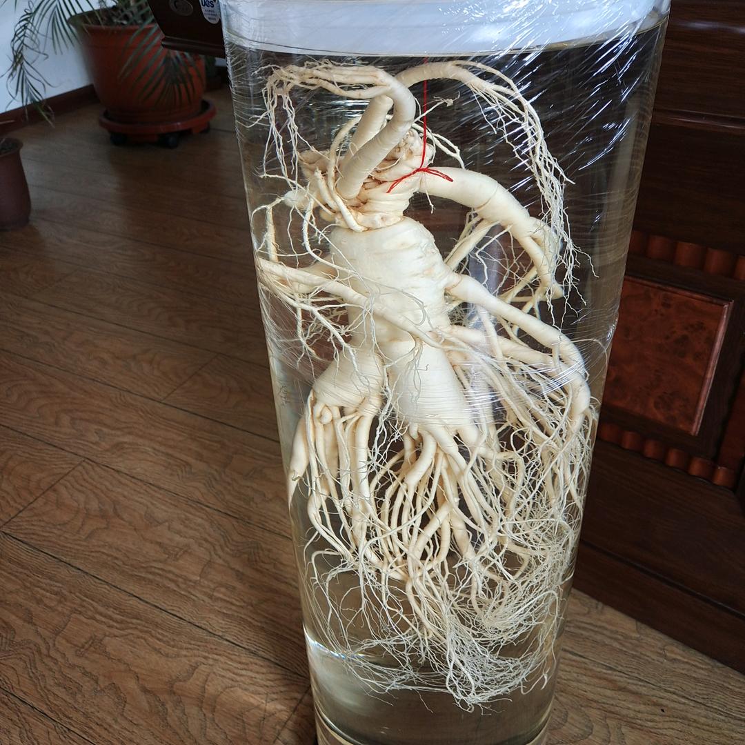 龙吟威震