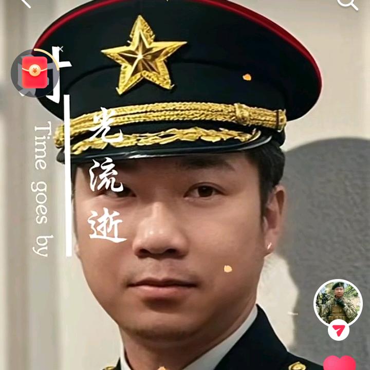 你是我的小扒菜
