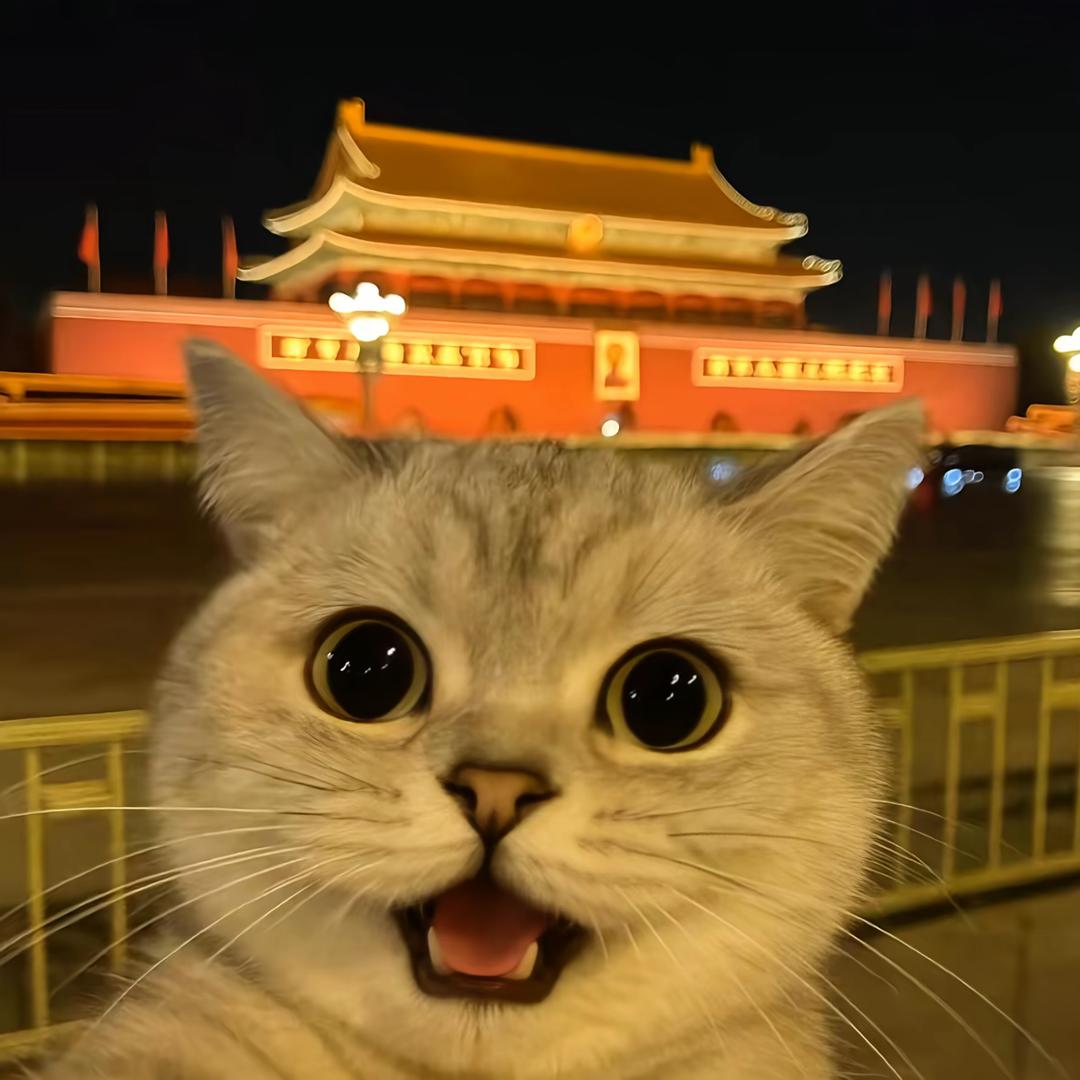 零狼