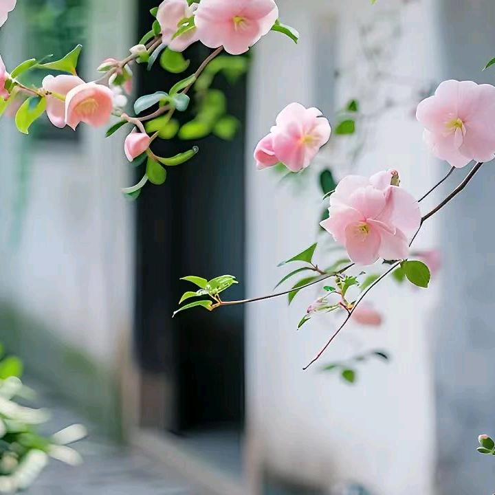 没有如果