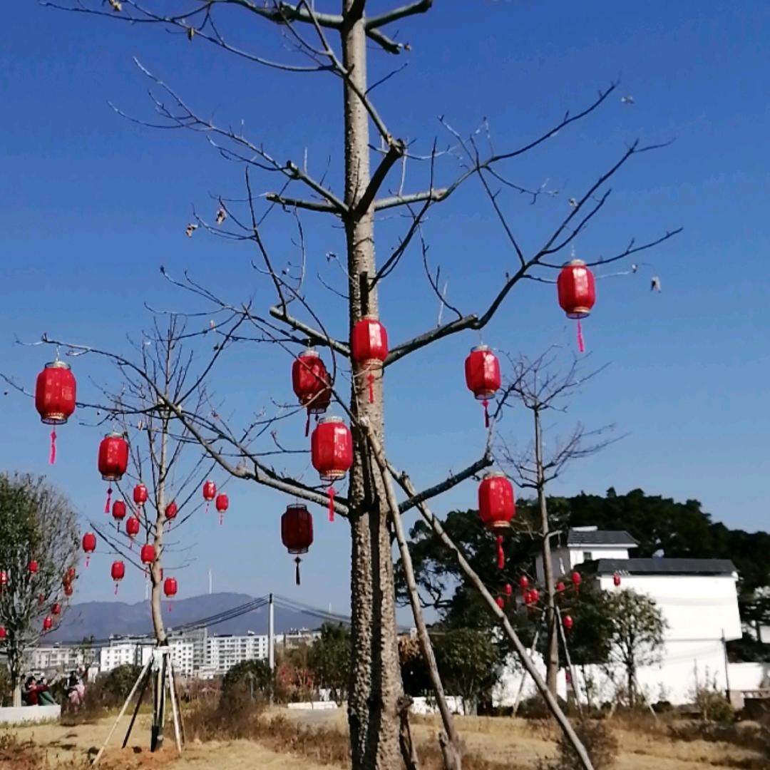 橙鑫如怡