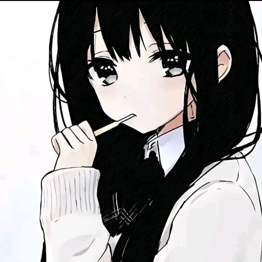 杏序鸢