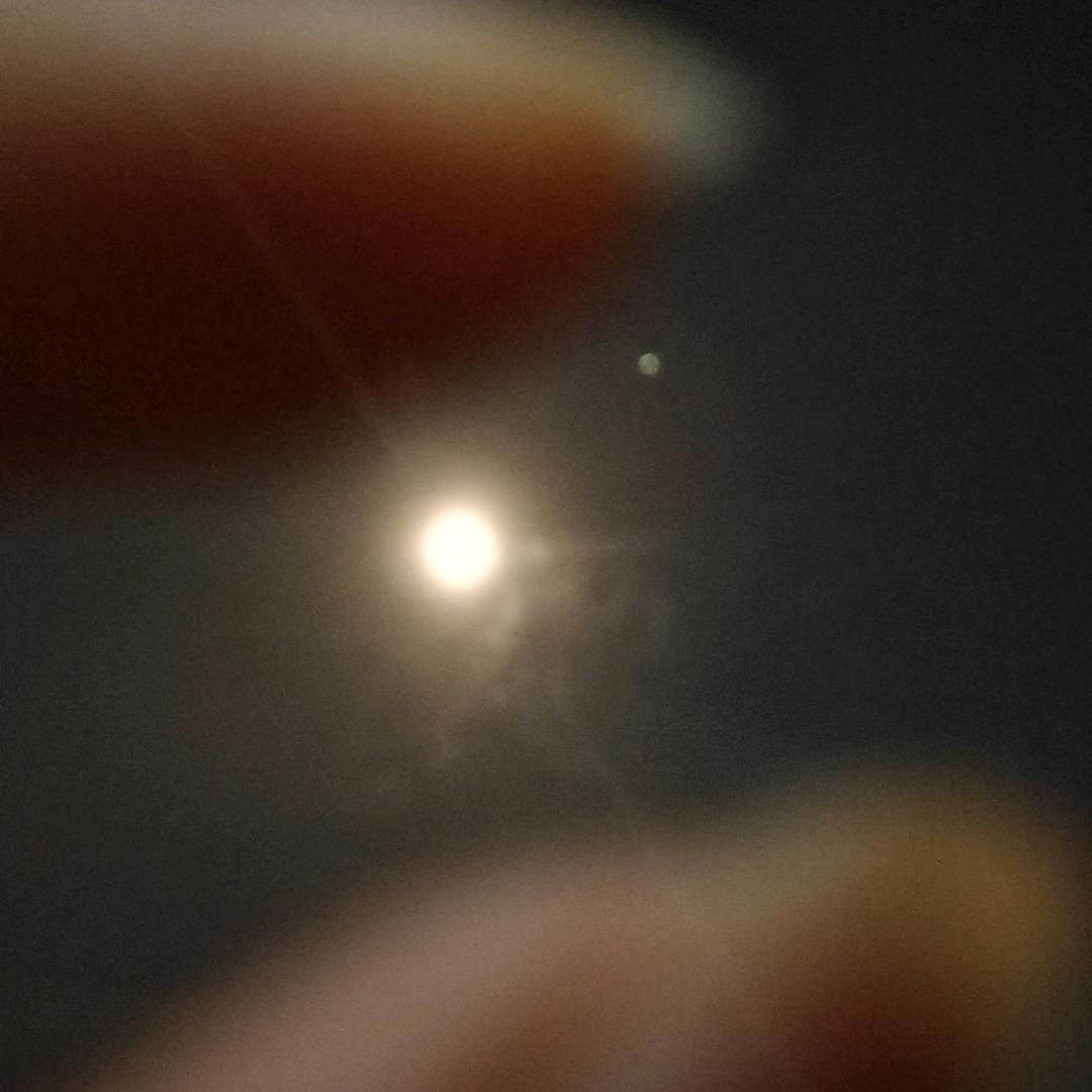 不吃糖的虎宝