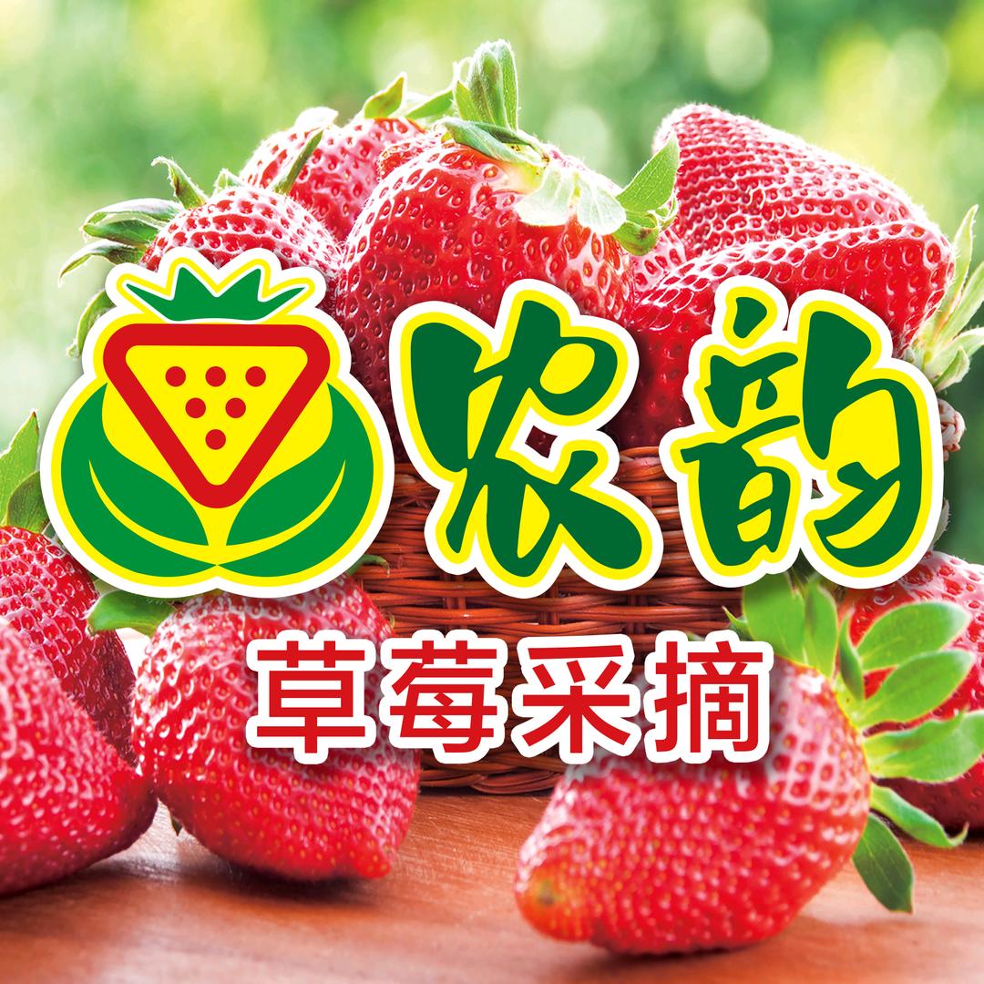 农韵白草莓采摘园官方号