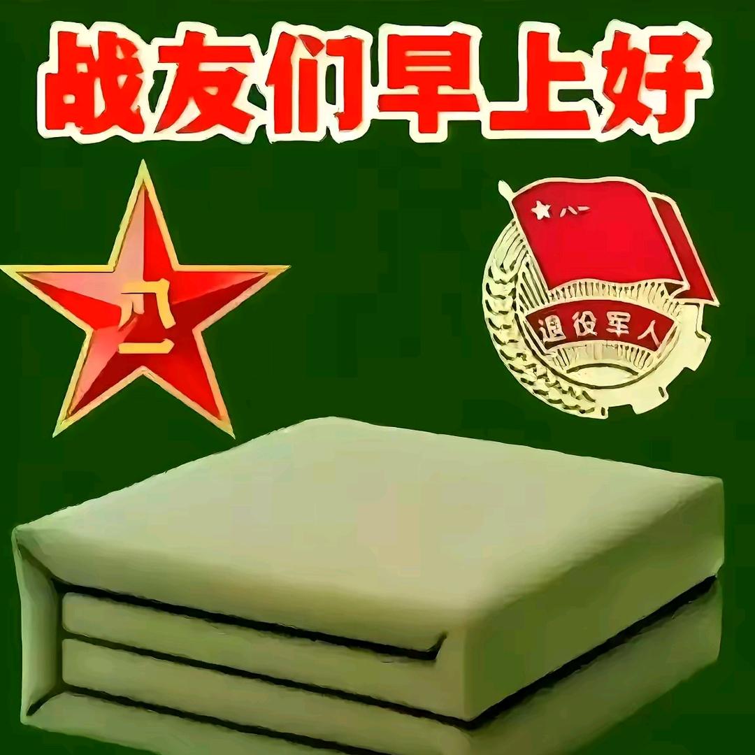 会飞的海鸥