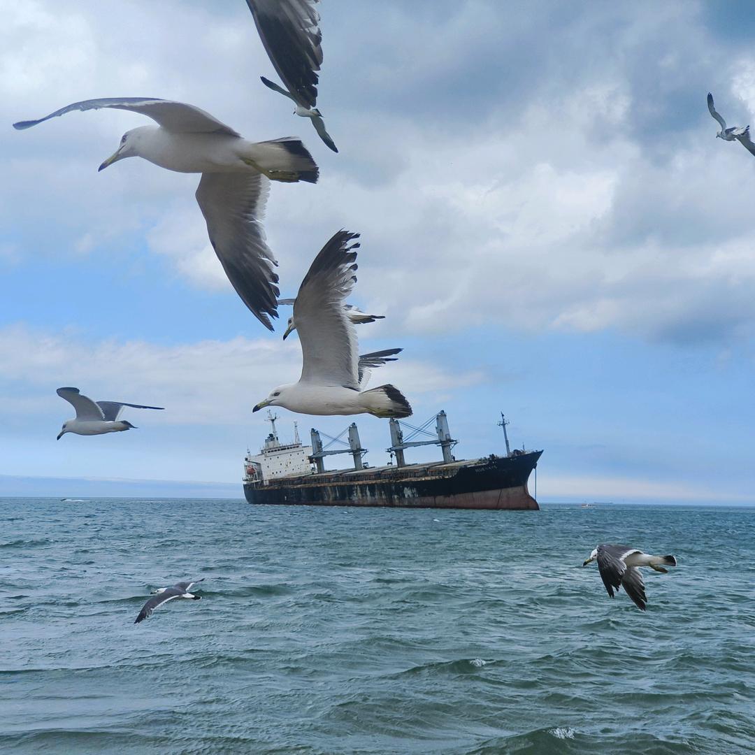 🌈🌈以前在🌈🌈