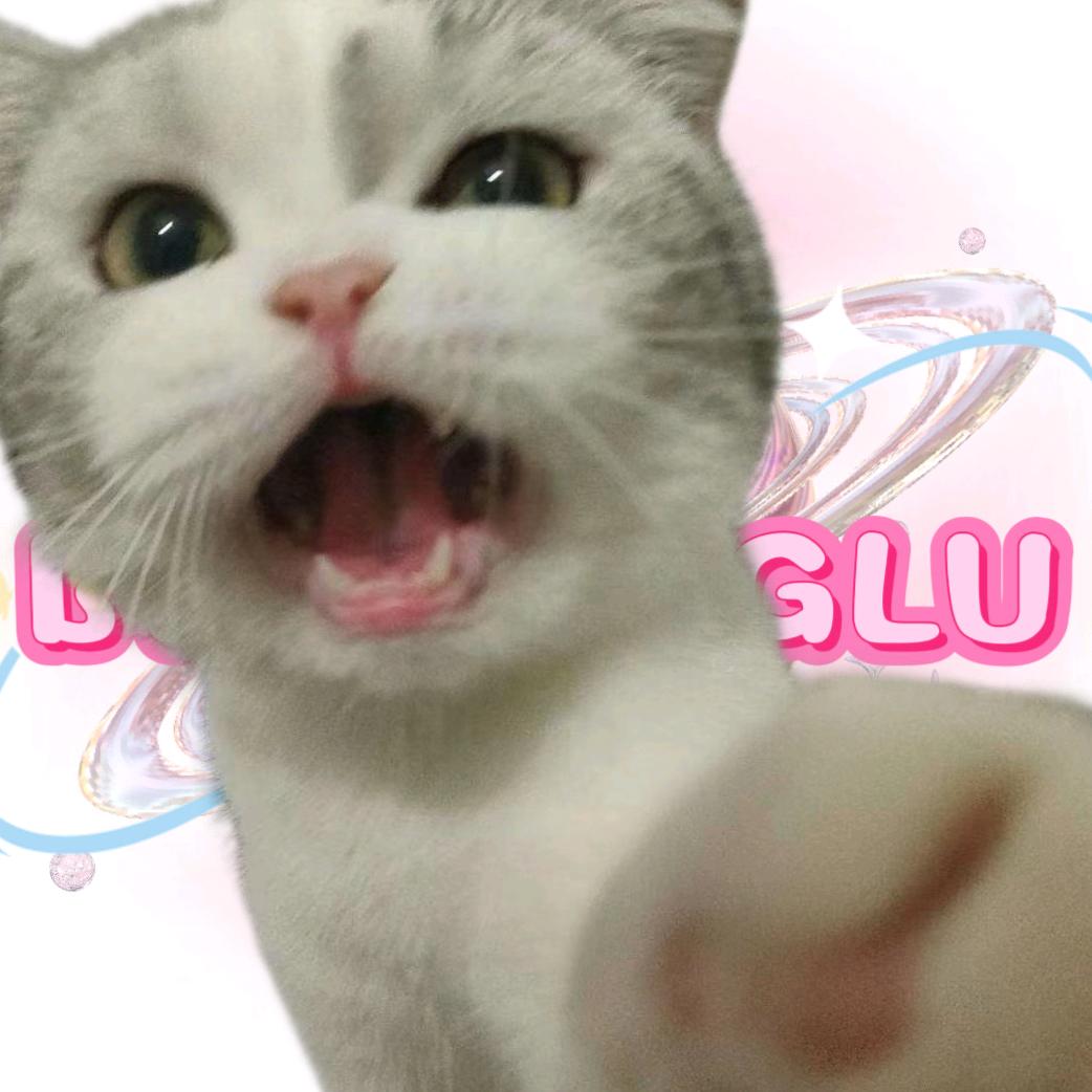 小黑ヾ记忆最帅