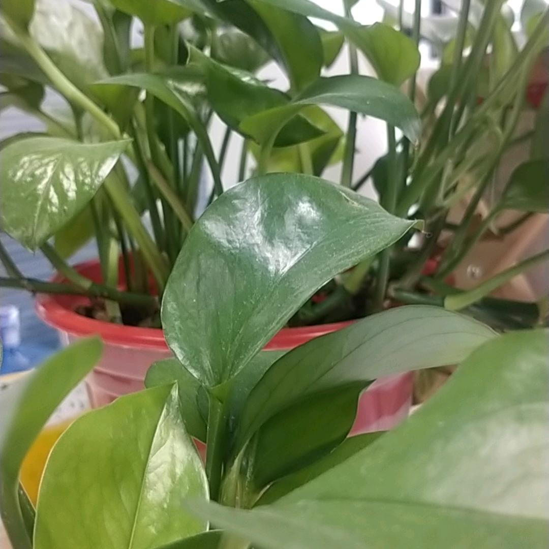 好物管家