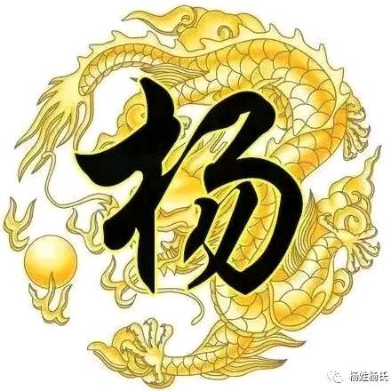 老杨