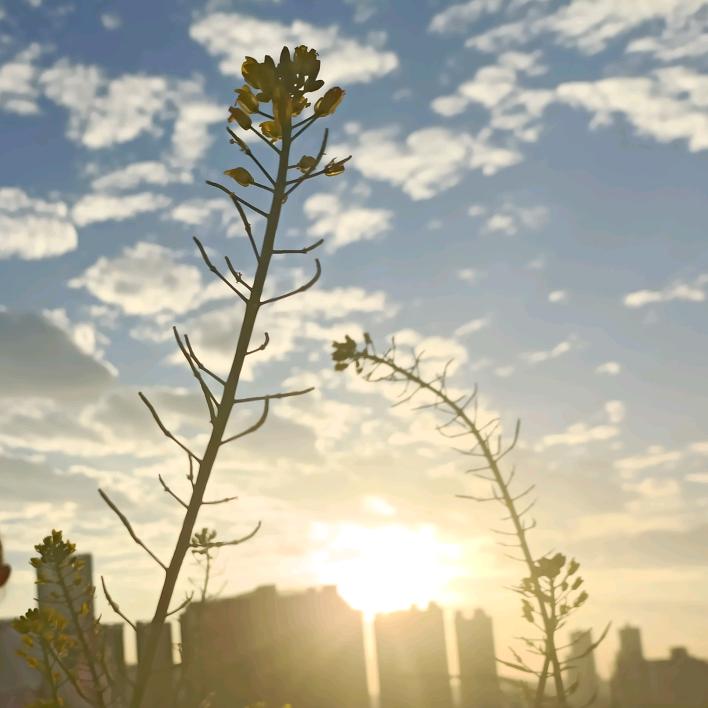 ᭄Na就這樣᭄6033