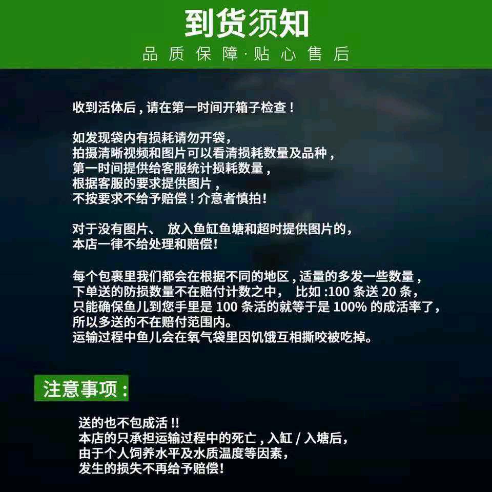 ღ᭄ꦿ꯭遗      憾