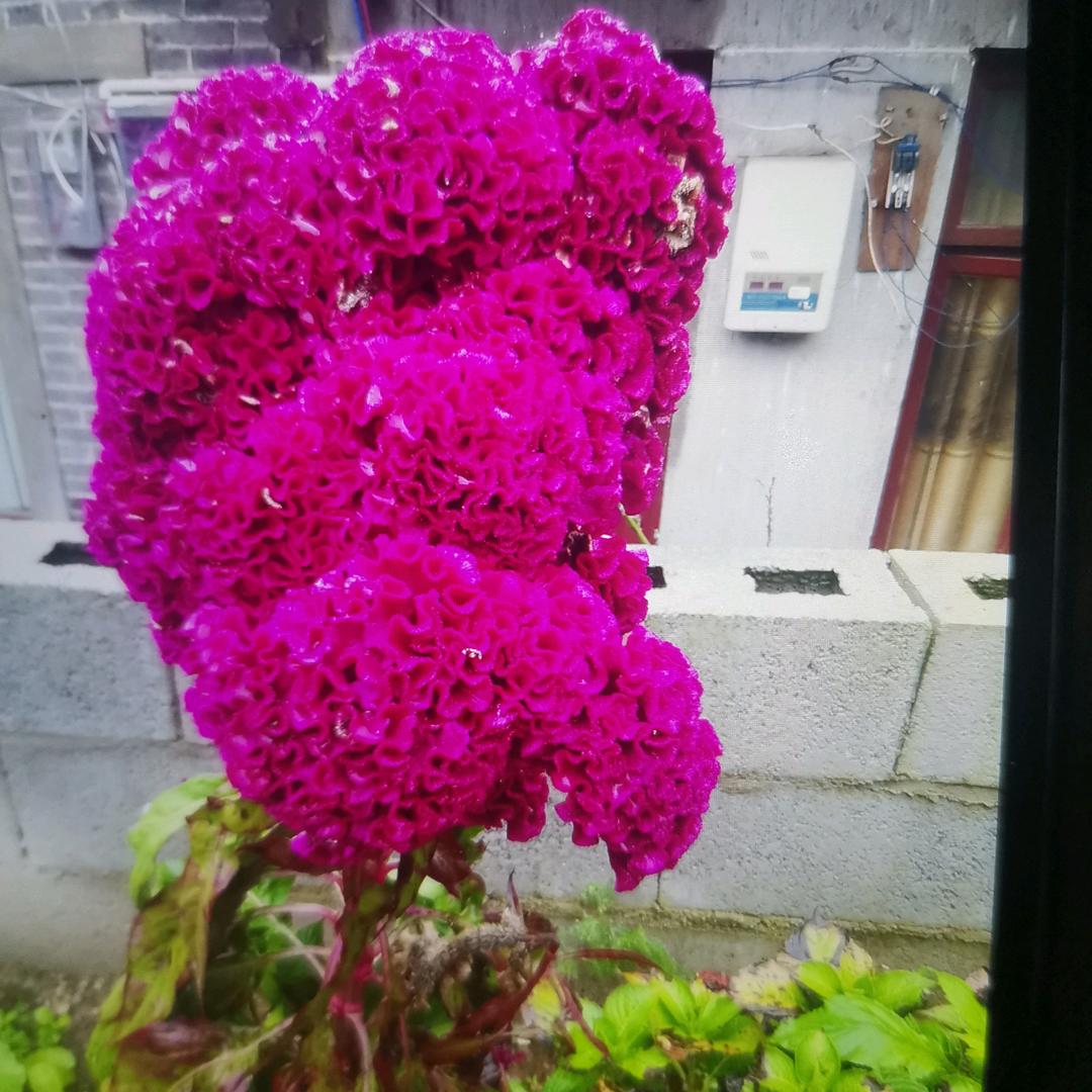 永不变心