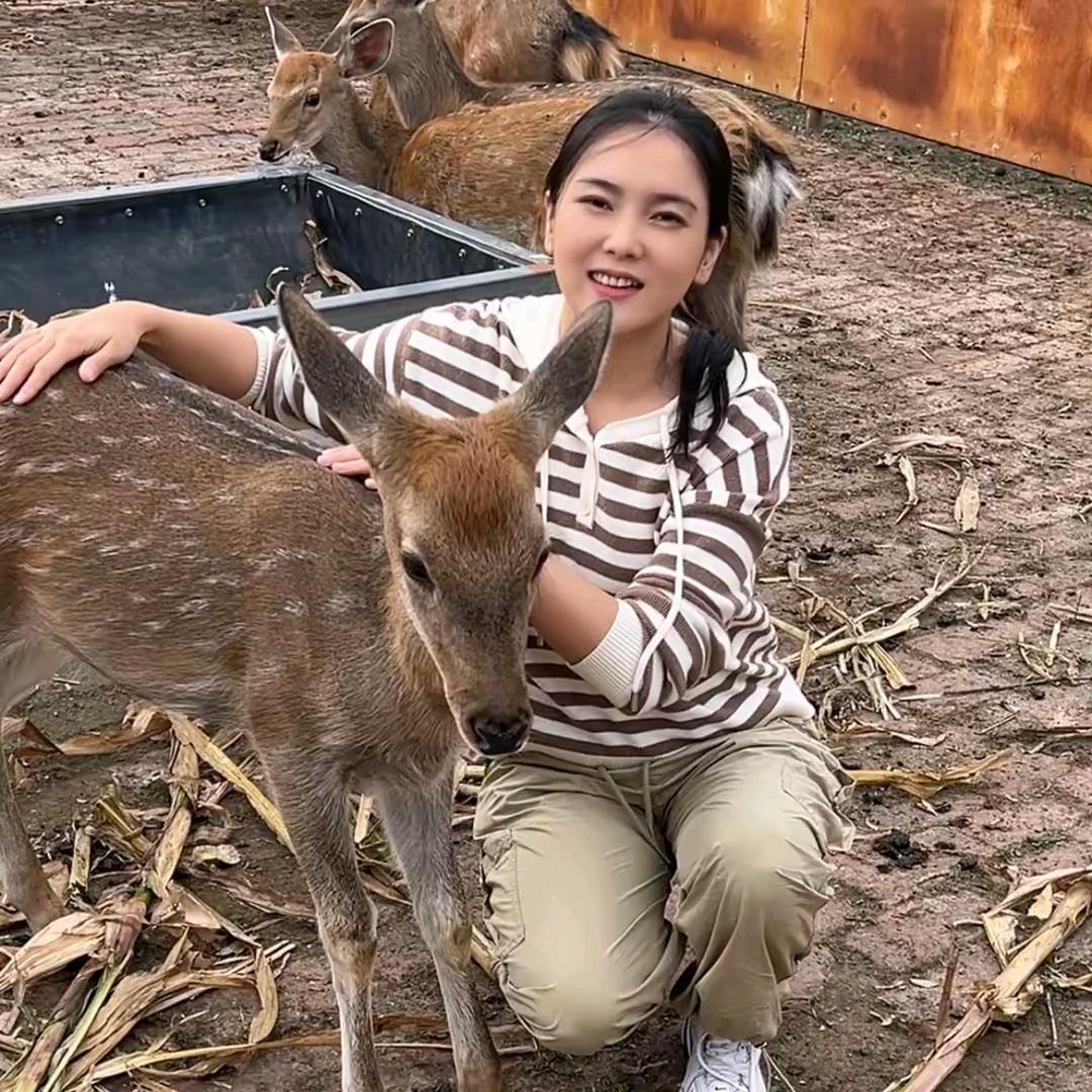 一鹿有你