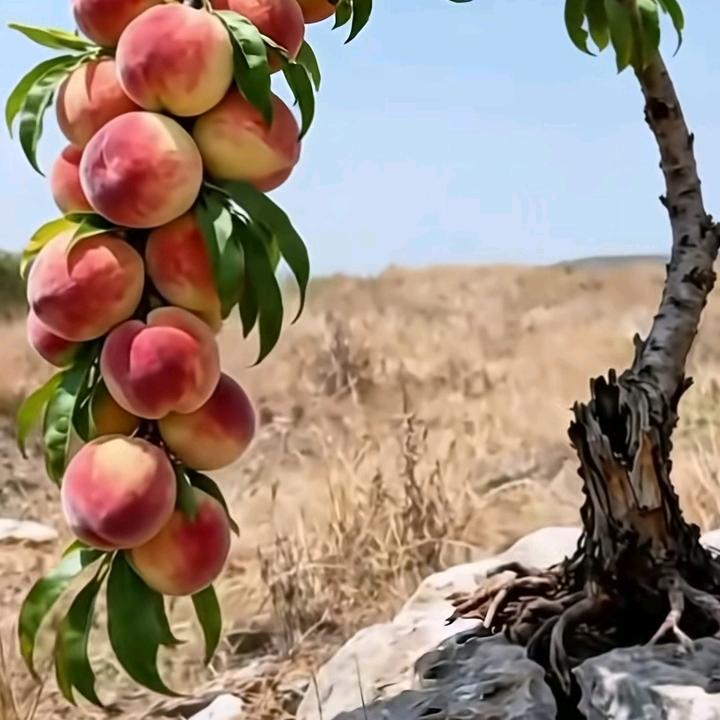 绵绵秋雨
