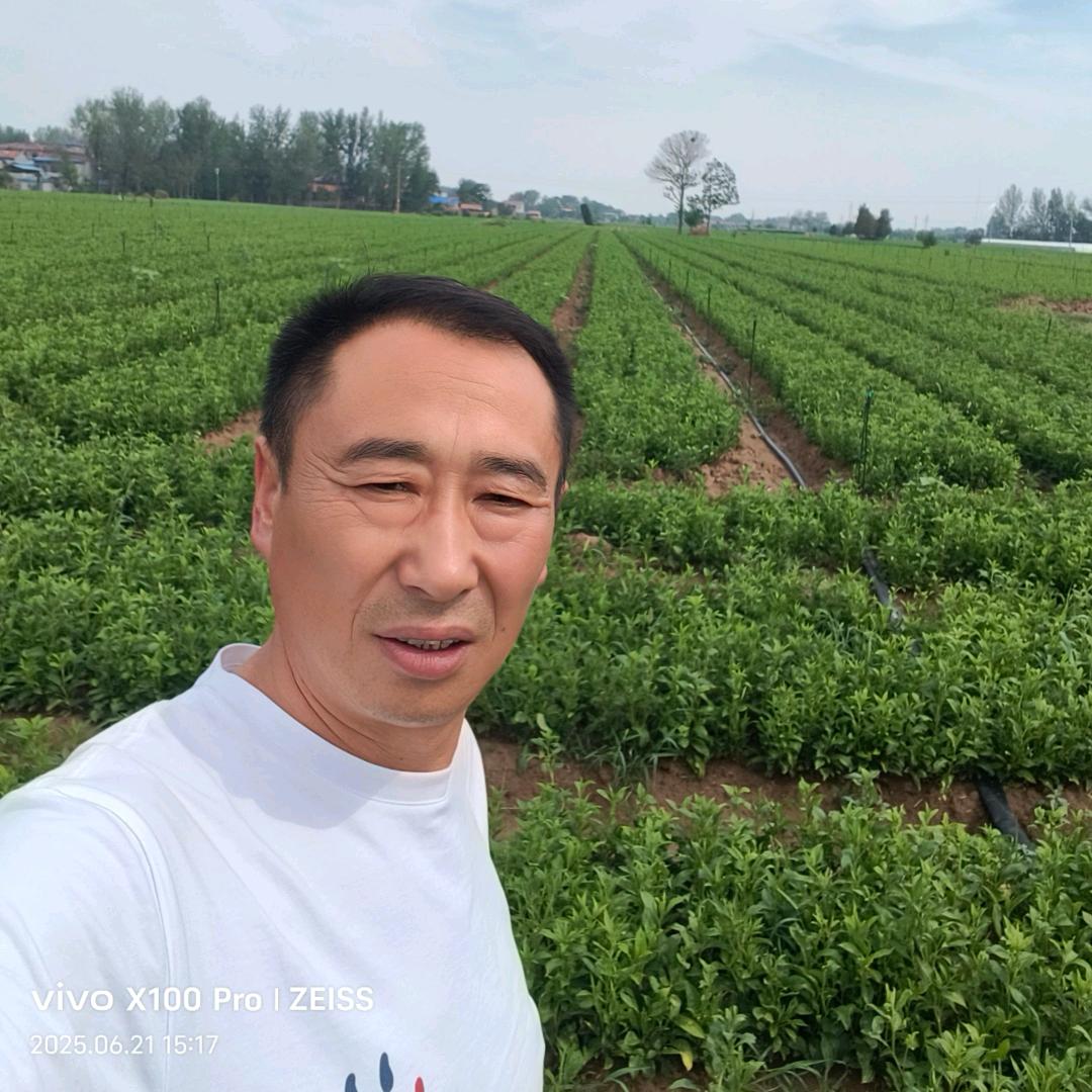 马明亮中药材种植技术服务站，白术，地黄