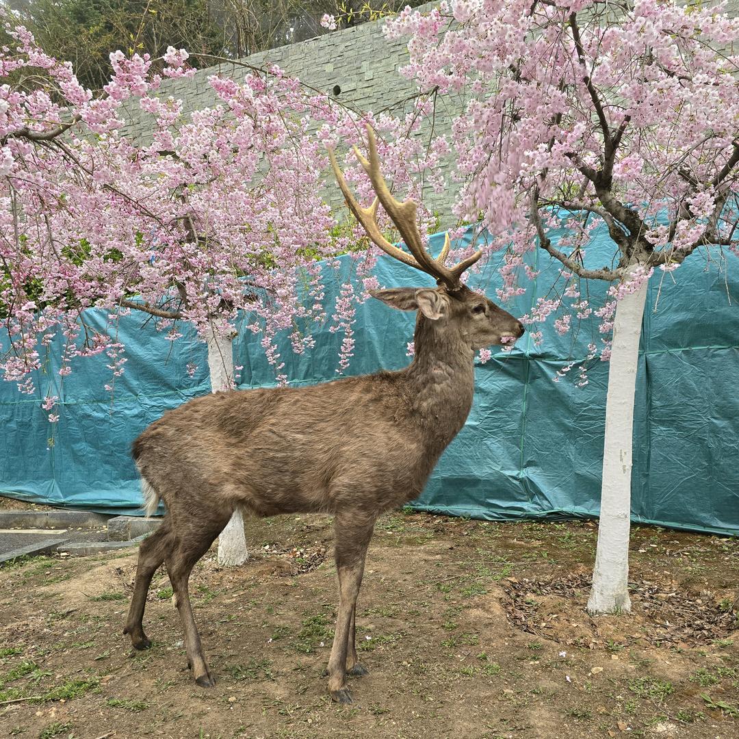 想一想 想一想
